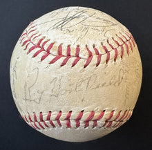 Load image into Gallery viewer, 43690127