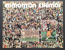 Load image into Gallery viewer, 43724580