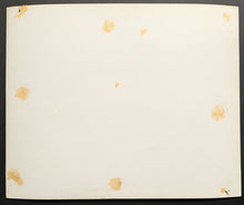 Load image into Gallery viewer, 47011295