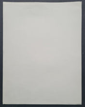 Load image into Gallery viewer, 43876579