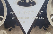 Load image into Gallery viewer, 44311041