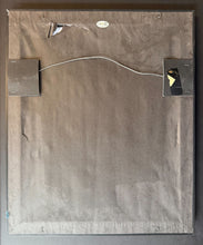 Load image into Gallery viewer, 47301526