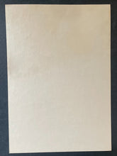 Load image into Gallery viewer, 47019747