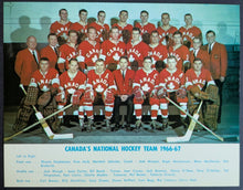 Load image into Gallery viewer, 44489643