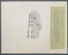 Load image into Gallery viewer, 43780174