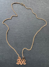 Load image into Gallery viewer, 44986807