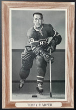 Load image into Gallery viewer, 44986707