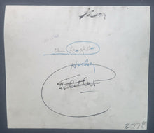 Load image into Gallery viewer, 43780193