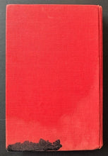 Load image into Gallery viewer, 45012260