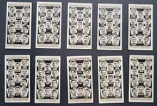 Load image into Gallery viewer, 43814364