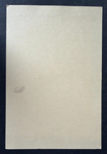 Load image into Gallery viewer, 46831971