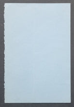 Load image into Gallery viewer, 43814288