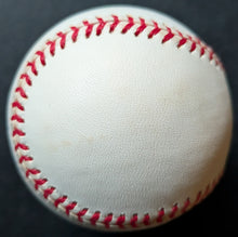 Load image into Gallery viewer, 47892668