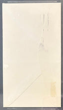 Load image into Gallery viewer, 47772018