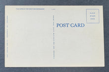 Load image into Gallery viewer, 45312926