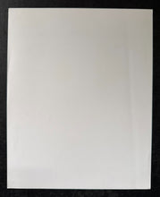 Load image into Gallery viewer, 47255794
