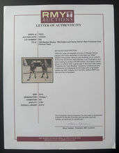 Load image into Gallery viewer, 44223842