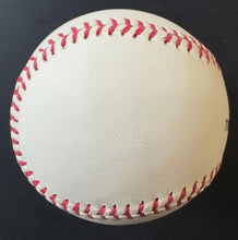 Load image into Gallery viewer, 43854249