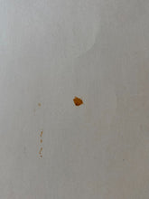 Load image into Gallery viewer, 47501334