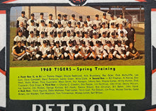 Load image into Gallery viewer, 1968 Vintage MLB World Series Champions Detroit Tigers Full Team Picture Pennant
