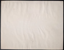 Load image into Gallery viewer, 47066686