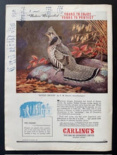 Load image into Gallery viewer, 44462788