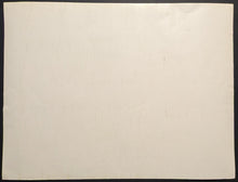Load image into Gallery viewer, 47301486