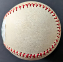 Load image into Gallery viewer, 47110697