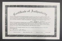 Load image into Gallery viewer, 45151285