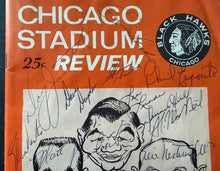 Load image into Gallery viewer, 46814828