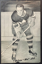 Load image into Gallery viewer, 44887481