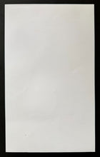 Load image into Gallery viewer, 47861916
