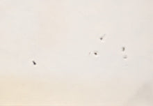 Load image into Gallery viewer, 1963 Sodom And Gomorrah Movie Poster Stuart Granger Pier Angeli Robert Aldrich