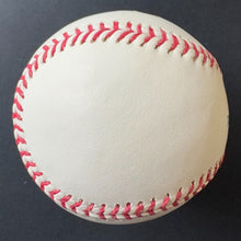 Load image into Gallery viewer, 43854240