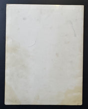 Load image into Gallery viewer, 44328258