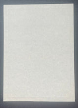 Load image into Gallery viewer, 45412452