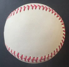Load image into Gallery viewer, 43854250