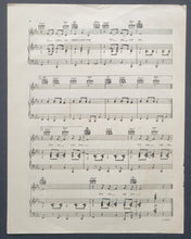 Load image into Gallery viewer, 43814324