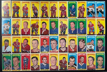 Load image into Gallery viewer, 44311011