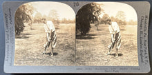 Load image into Gallery viewer, 44328253