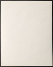 Load image into Gallery viewer, 46357639