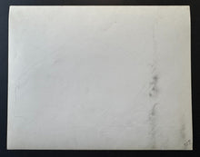 Load image into Gallery viewer, 44029663