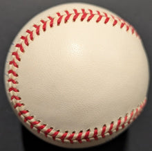 Load image into Gallery viewer, 43814282