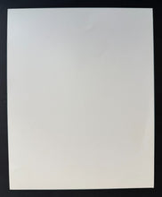 Load image into Gallery viewer, 47317917