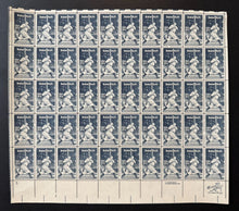 Load image into Gallery viewer, 44299554