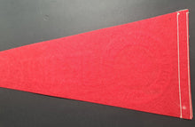Load image into Gallery viewer, Detroit Lakes, MN Canadian Professional Hockey School Vintage Mid Sized Pennant