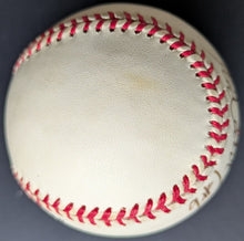 Load image into Gallery viewer, 44351542