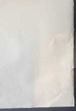 Load image into Gallery viewer, 43766205