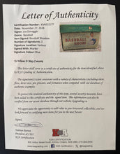 Load image into Gallery viewer, 44061517