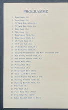 Load image into Gallery viewer, 45412393